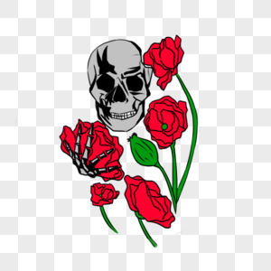 骷髅头和罂粟花图片