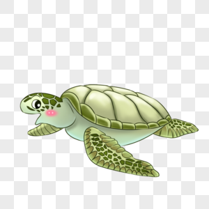 海龟绿色外壳高清图片