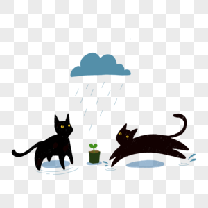 雨天黑猫小草图片