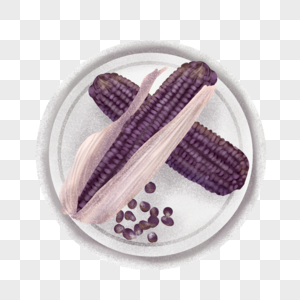 新鲜营养早午晚餐有机蔬菜紫玉米图片