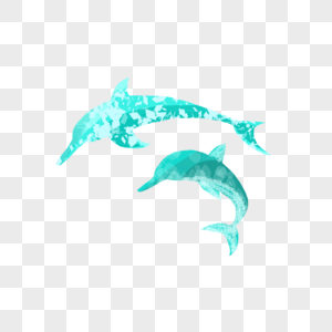保护海洋动物海豚图片