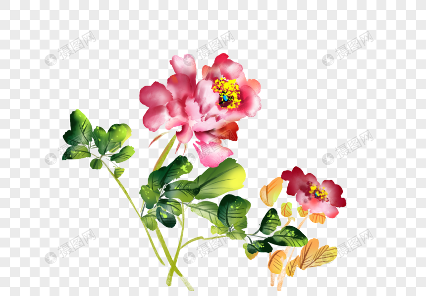 花鸟画牡丹花元素素材下载 正版素材 摄图网