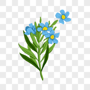手绘蓝色花卉植物图片
