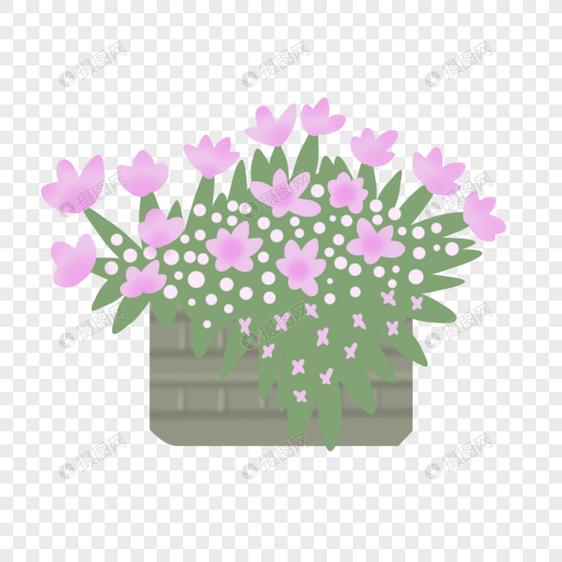 粉色小花盆栽图片