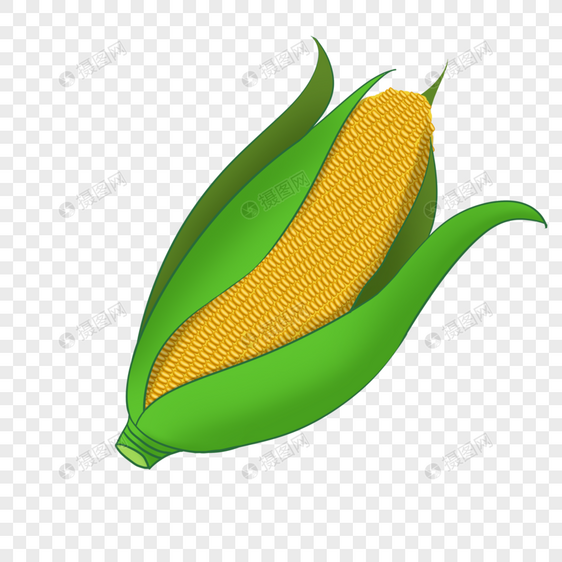 芒种收秋素材苞米玉米图片