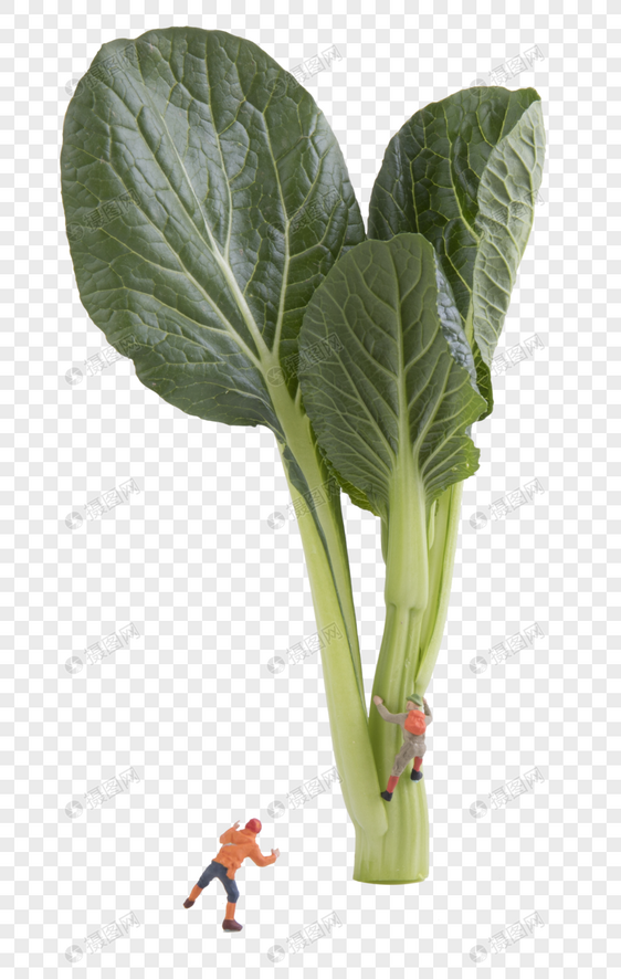 蔬菜创意小人图片