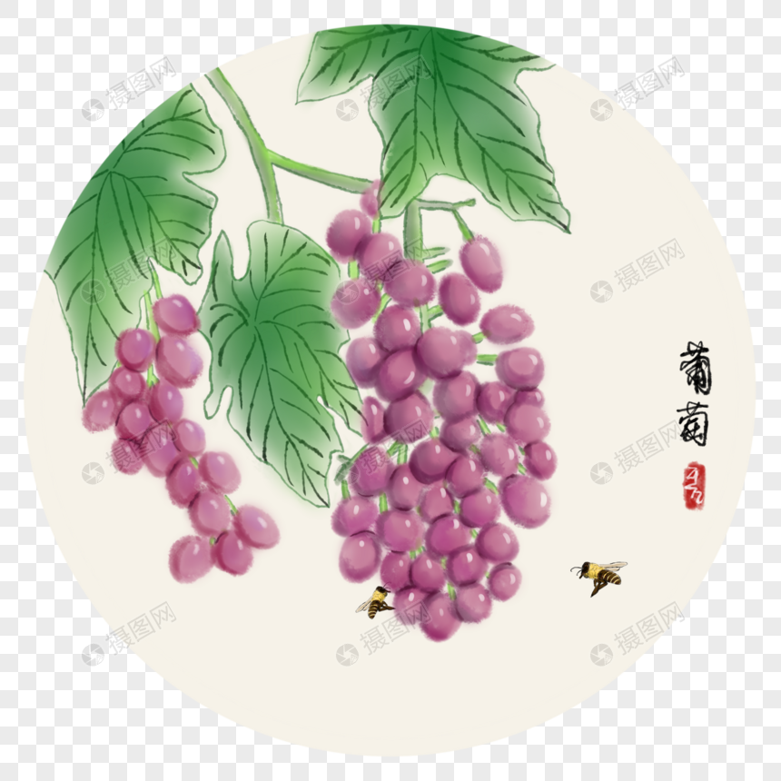 中国风写意葡萄图片