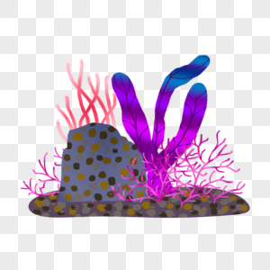 彩色珊瑚水草植物图片