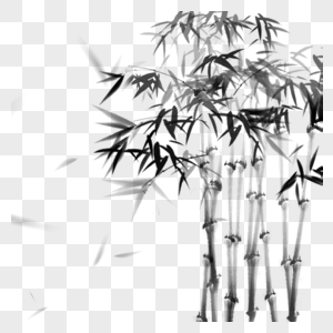 竹子飘落的花高清图片