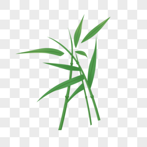 植物竹子图片