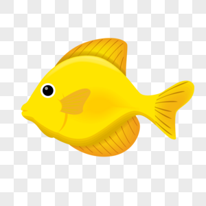 黄金鱼图片