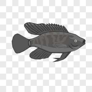 AI矢量图卡通石斑鱼鱼类元素图片