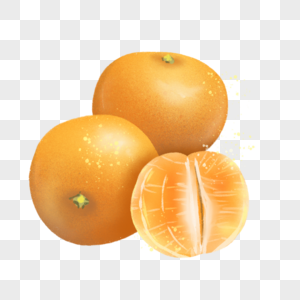 夏季水果柑橘橙子图片