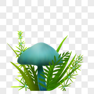 蓝植物夜光蘑菇高清图片