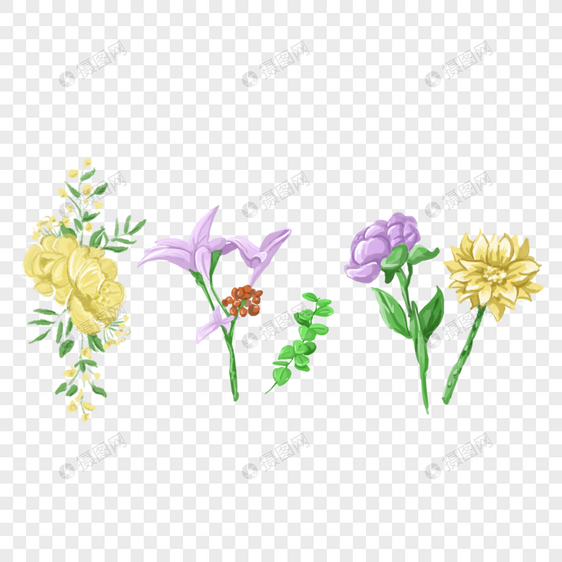 手绘黄色花卉植物元素图片