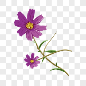 手绘紫色鲜花花卉元素图片