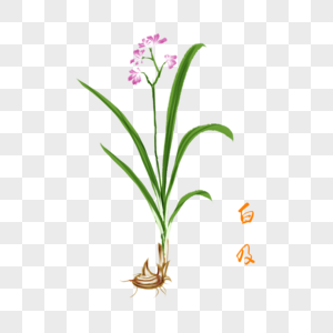 小花卷卡通图片