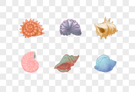 手绘海螺彩色海螺高清图片