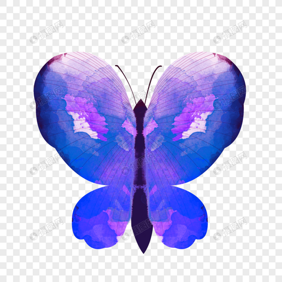 水彩动物蝴蝶蓝色紫色插画元素手绘图片