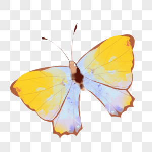 水彩动物蝴蝶浅黄色双翅插画元素手绘图片