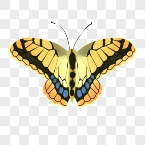 水彩动物蝴蝶双翅展开插画元素手绘图片