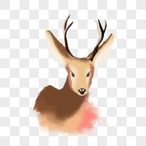 水彩动物鹿正面鹿角插画元素手绘图片