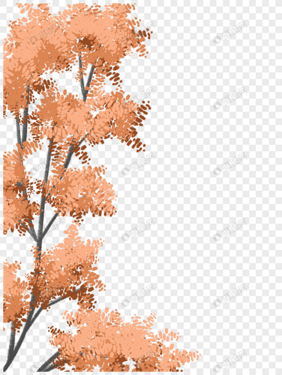 秋季树木森林图片