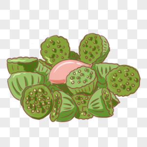 莲子羹夏季莲蓬手绘小清新装饰素材