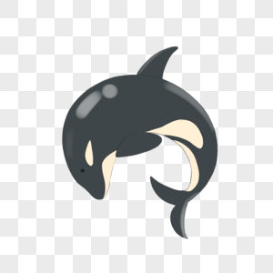 海洋动物虎鲸图片