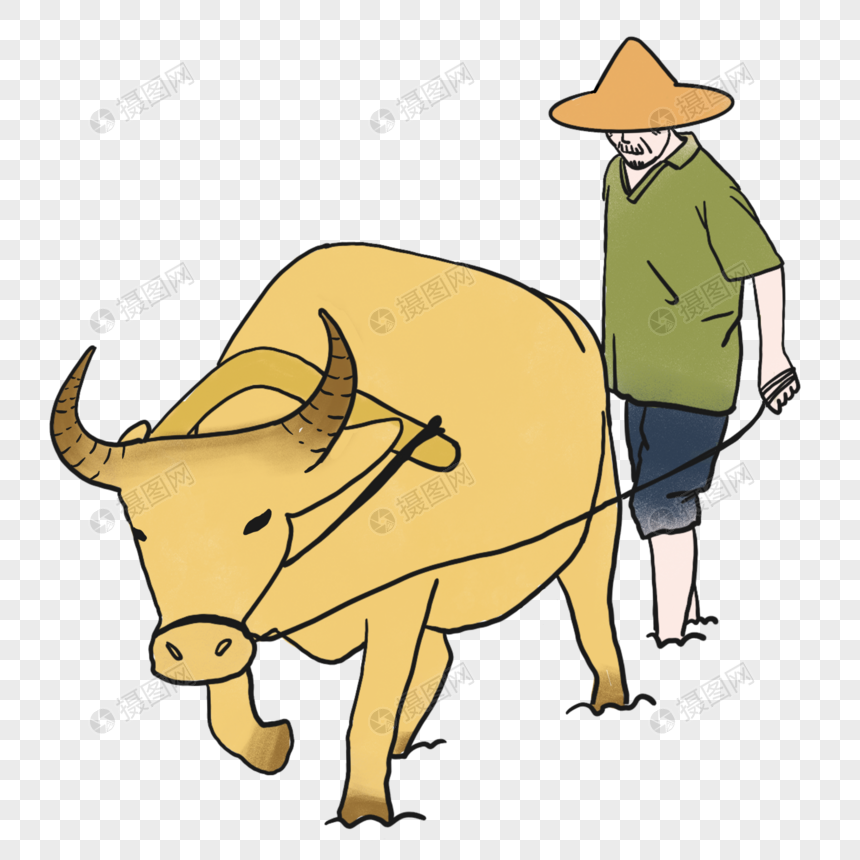 耕牛和老人