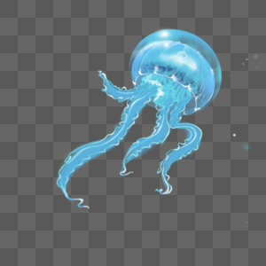 水母海蜇蝎目高清图片