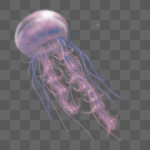 水母透明水母癌高清图片