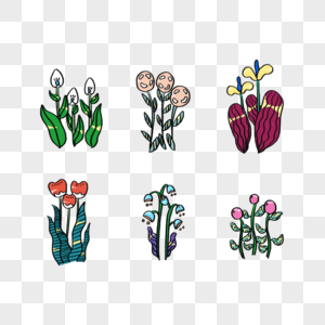 花卉植物插画图片