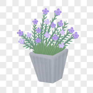 紫色漂亮盆栽高清图片