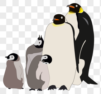 卡通手绘可爱动物南极企鹅一家四口图片