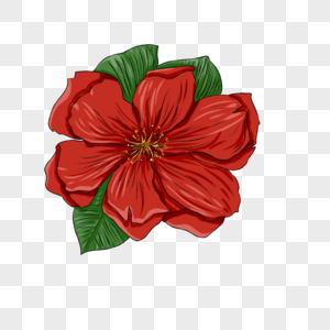 广州簕杜鹃花元素素材