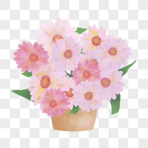 雏菊花束图片
