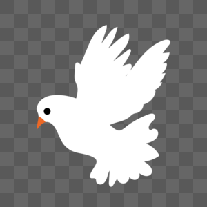 白鸽素材网图片