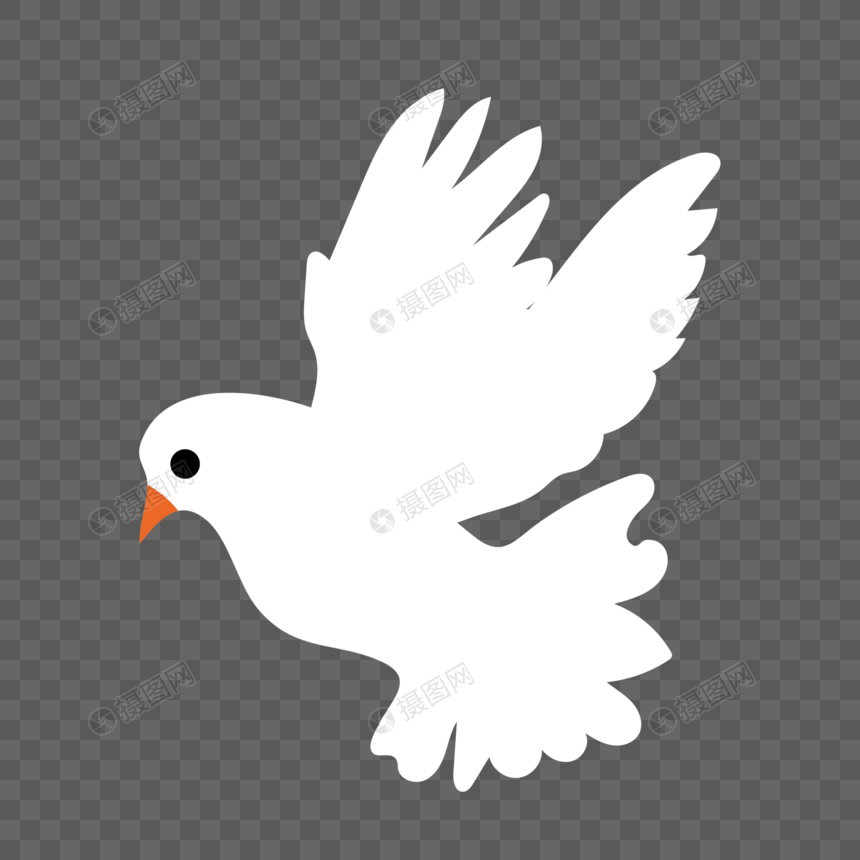 飞翔的和平白鸽