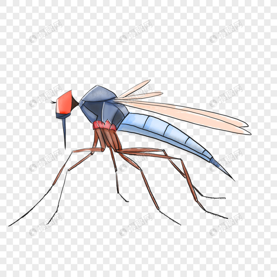 夏天的蚊子图片
