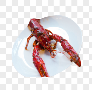 盘子龙虾美食图片