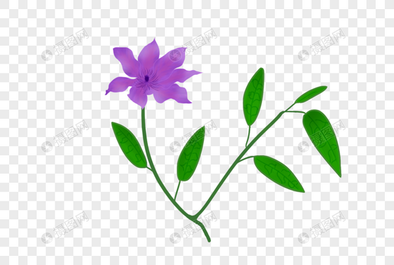 紫色神秘花卉素材图片