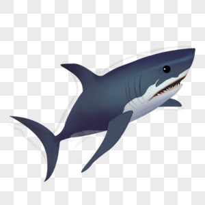 鲨鱼扁头鲨巨齿高清图片