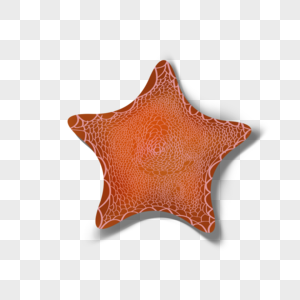 红色海星图片