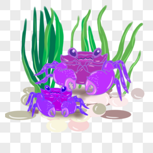 紫色螃蟹图片