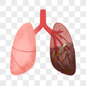 手绘被烟污染的肺高清图片