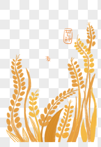 芒种之麦子熟啦插画背景图片