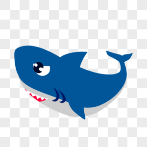 鲨鱼动物棘皮动物海洋高清图片