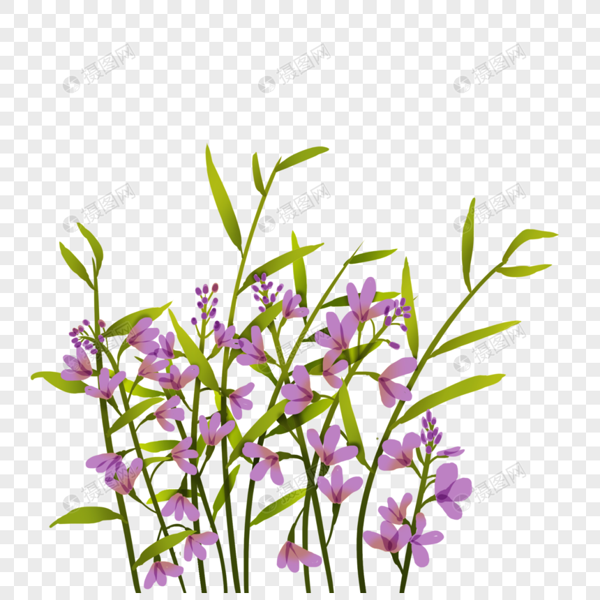 紫花元素素材下载 正版素材 摄图网 紫花元素素材下载 正版素材 摄图网