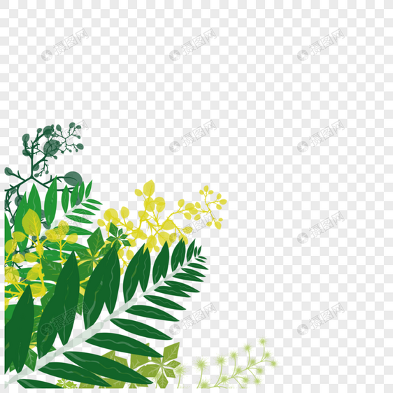 花草植物插画图片